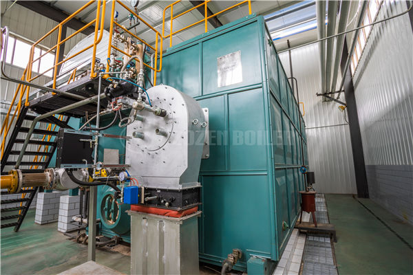 用于食品加工消毒2噸燃?xì)庹羝仩t