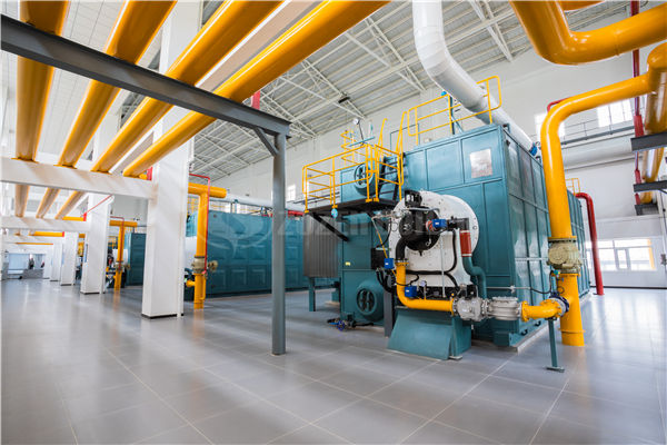 燃?xì)忮仩t 排名