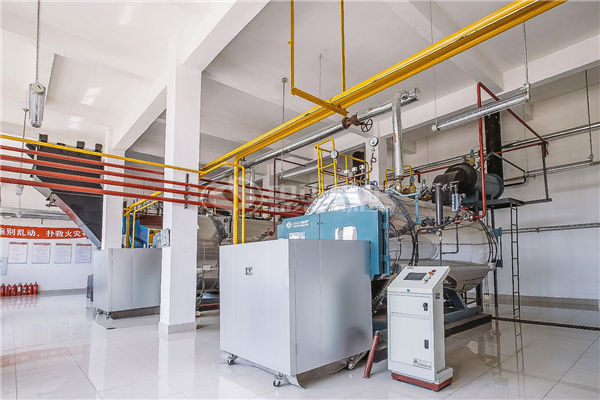 雙良鍋爐是國內(nèi)企業(yè)嗎