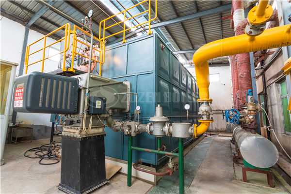 撬裝燃?xì)忮仩t品牌