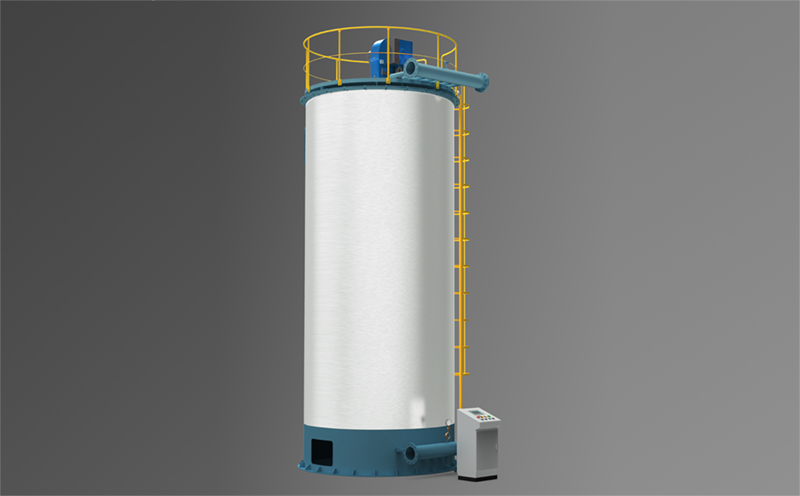 燃燒量6噸生物質(zhì)鍋爐方案實(shí)拍