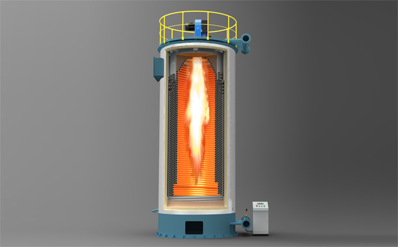 燃燒量6噸生物質(zhì)鍋爐方案實(shí)拍