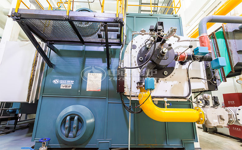 燃燒量6噸生物質(zhì)鍋爐方案客戶案例圖片