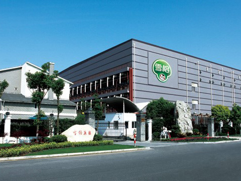 10噸、8噸 DZL 生物質(zhì)鍋爐