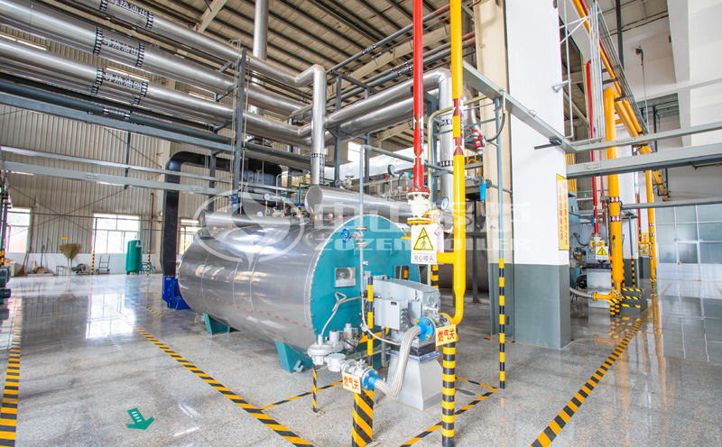 撬裝式鍋爐安裝要求客戶案例圖片