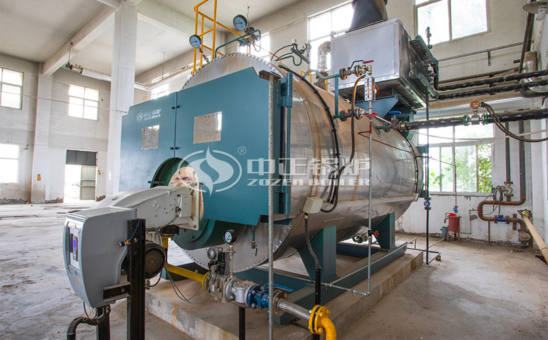 集裝箱撬裝鍋爐視頻講解客戶案例圖片