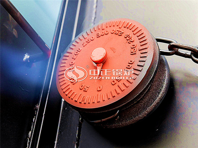 15噸燃?xì)庹羝仩t便宜嗎