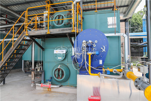 2T燃?xì)庹羝仩t廠