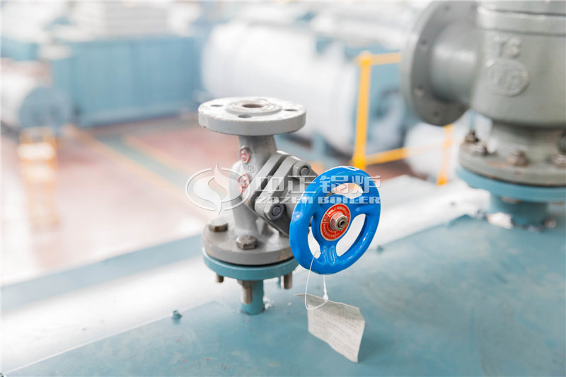 兩噸天然氣蒸汽爐需要多少錢(qián)