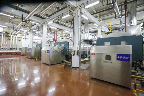 天然氣導熱油鍋爐企業(yè)貴嗎